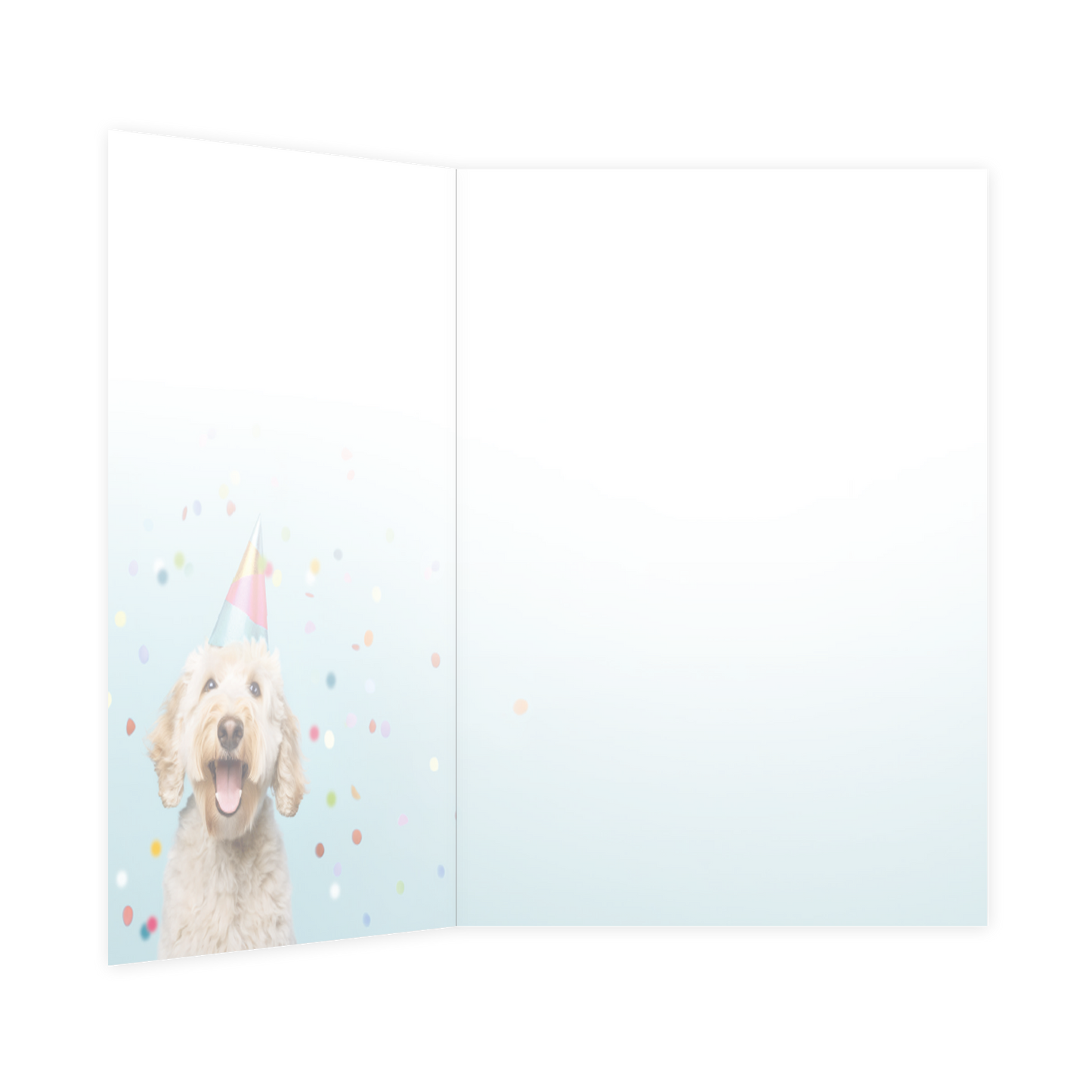 Jarige gefeliciteerd