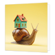 Slakkenhuis - Formaat: Standaard - Vorm: Vierkant - Woningkaart - Op deze wenskaart staat een illustratie van een slak met op zijn schelp een klein, groen speelgoedhuisje met een rood dak geplaatst. Het tafereel bevindt zich tegen een effen gele achtergrond. Er is geen tekst op de illustratie zichtbaar. - Snelwenskaart
