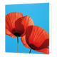 Klaprozen - Formaat: Standaard - Vorm: Vierkant - Blanco kaart - Op deze wenskaart staat een illustratie van twee rode klaprozen die van onderen zijn gefotografeerd tegen een heldere, blauwe lucht. De tere bloemblaadjes vangen het zonlicht, waardoor de fijne structuren goed zichtbaar zijn, en de harige stelen steken naar beneden uit. Er is geen tekst op de illustratie zichtbaar. - Snelwenskaart