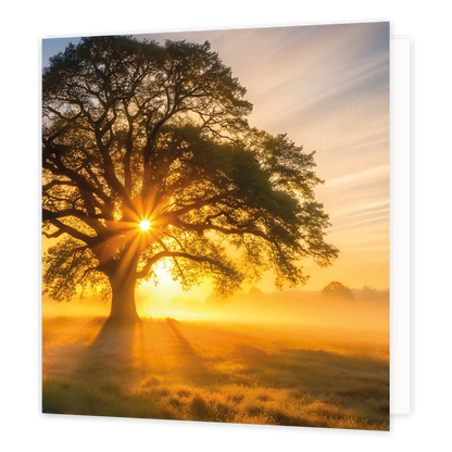 Zonsopkomst - Formaat: Standaard - Vorm: Vierkant - Blanco kaart - Op deze wenskaart staat een illustratie van een grote, oude boom in een mistig landschap tijdens een zonsopgang of zonsondergang. De stralen van de zon breken prachtig door de takken en het bladerdak van de boom heen, en werpen lange schaduwen over het veld. Er is geen tekst op de illustratie zichtbaar. - Snelwenskaart