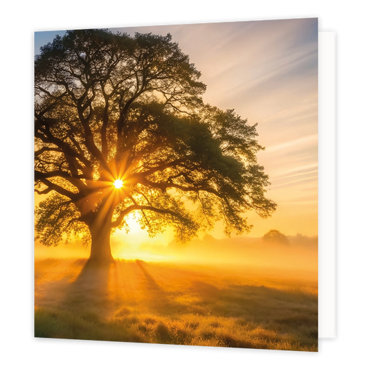 Zonsopkomst - Formaat: Standaard - Vorm: Vierkant - Blanco kaart - Op deze wenskaart staat een illustratie van een grote, oude boom in een mistig landschap tijdens een zonsopgang of zonsondergang. De stralen van de zon breken prachtig door de takken en het bladerdak van de boom heen, en werpen lange schaduwen over het veld. Er is geen tekst op de illustratie zichtbaar. - Snelwenskaart