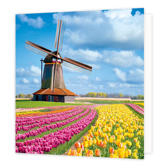 Tulpenveld met molen - Formaat: Standaard - Vorm: Vierkant - Blanco kaart - Op deze wenskaart staat een illustratie van een typisch Nederlands landschap met een traditionele windmolen op de achtergrond. Op de voorgrond bevinden zich uitgestrekte, kleurrijke tulpenvelden in rijen van gele, roze en rode tulpen. Het geheel is afgebeeld onder een helderblauwe lucht met witte wolken. Er is geen tekst op de illustratie zichtbaar. - Snelwenskaart