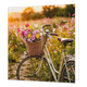 Fiets met bloemen - Formaat: Standaard - Vorm: Vierkant - Blanco kaart - Op deze wenskaart staat een illustratie van een vintage fiets die geparkeerd staat in een veld vol bloeiende veldbloemen tijdens zonsondergang. Aan het stuur van de fiets hangt een rieten mand die rijkelijk gevuld is met een kleurrijke bos roze en gele bloemen. Er is geen tekst op de illustratie zichtbaar. - Snelwenskaart