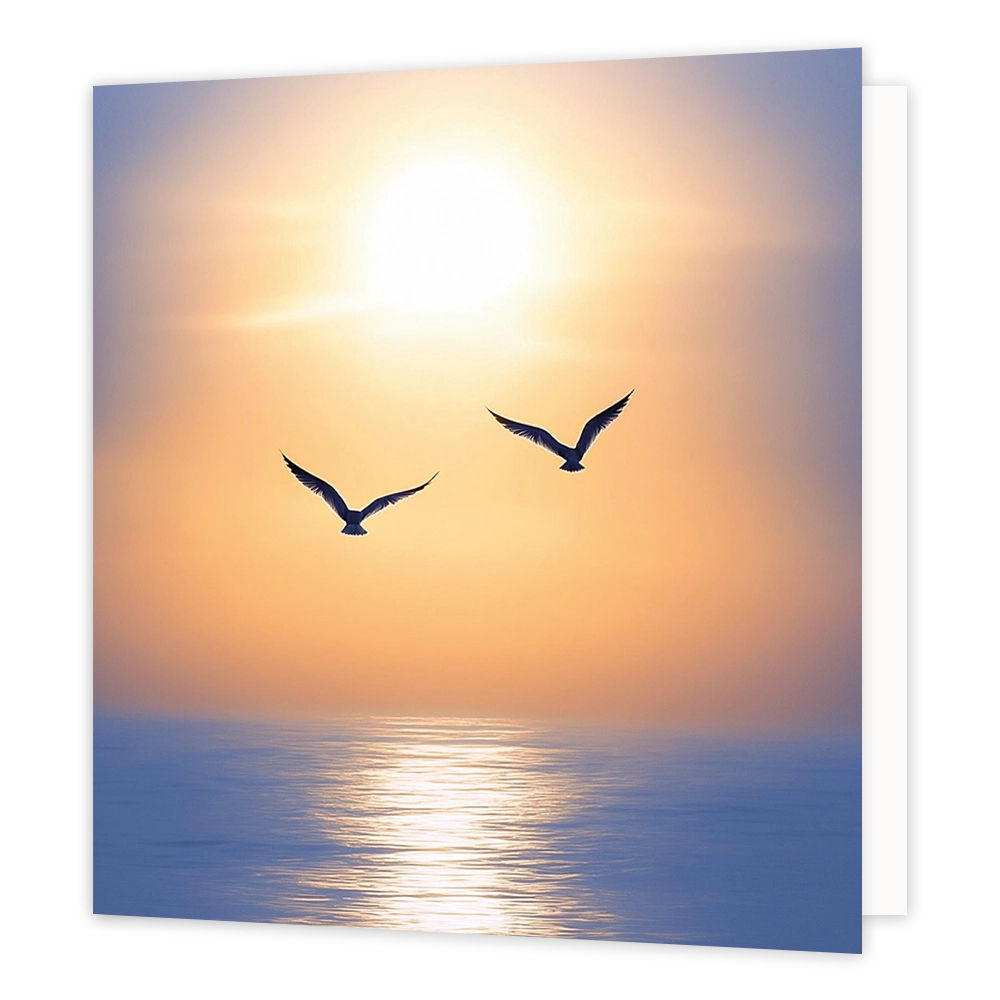 Vogels op zee - Formaat: Standaard - Vorm: Vierkant - Blanco kaart - Op deze wenskaart staat een illustratie van twee vogels die in vlucht te zien zijn tegen een zachte, warme achtergrond met de zon en de zee. De zon schijnt helder aan de hemel en weerspiegelt in het water eronder. Er is geen tekst op de illustratie zichtbaar. - Snelwenskaart