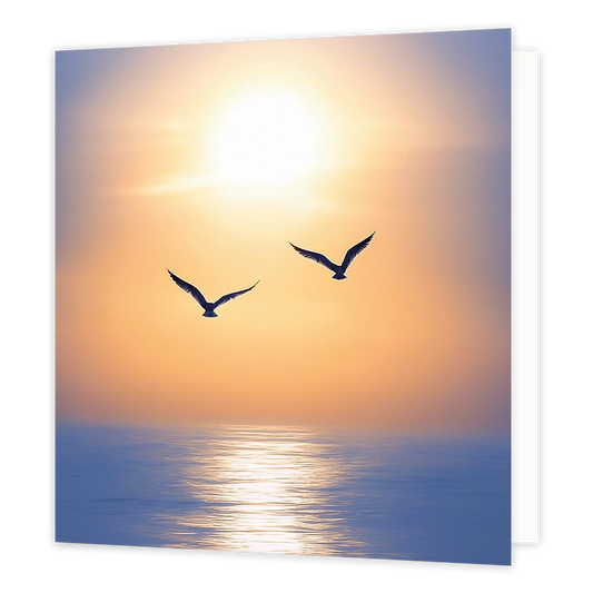 Vogels op zee - Formaat: Standaard - Vorm: Vierkant - Blanco kaart - Op deze wenskaart staat een illustratie van twee vogels die in vlucht te zien zijn tegen een zachte, warme achtergrond met de zon en de zee. De zon schijnt helder aan de hemel en weerspiegelt in het water eronder. Er is geen tekst op de illustratie zichtbaar. - Snelwenskaart