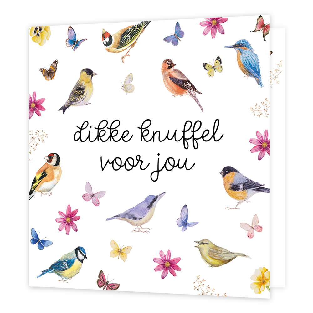 Op deze wenskaart staan vogels en bloemen met in het midden de tekst: "Dikke knuffel voor jou". 