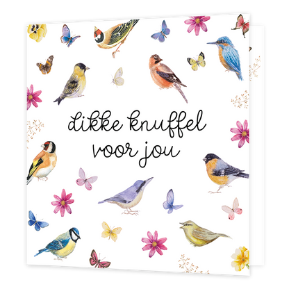 Op deze wenskaart staan vogels en bloemen met in het midden de tekst: "Dikke knuffel voor jou". 