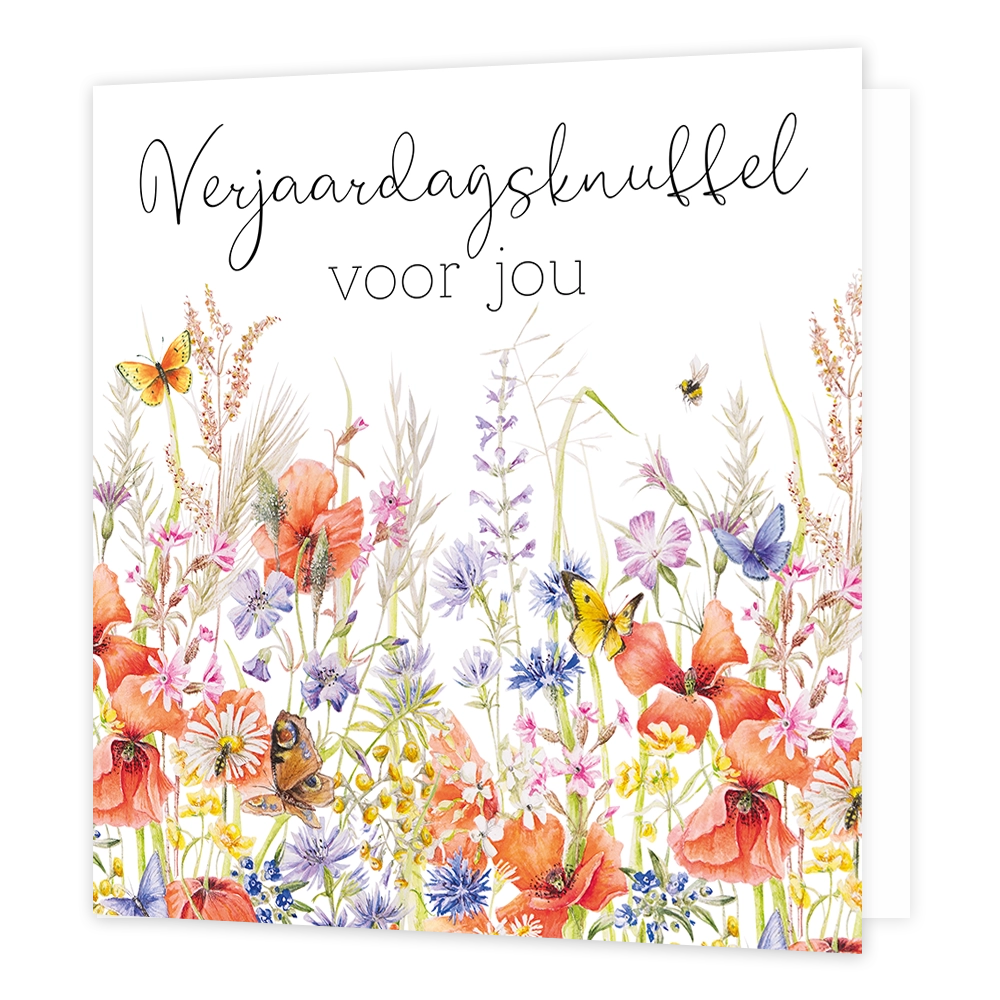 Verjaardagsknuffel voor jou - Formaat: Standaard - Vorm: Vierkant - Verjaardagskaart - Op deze wenskaart staat aan de bovenzijde de tekst "Verjaardagsknuffel voor jou" geschreven in een elegant, zwart lettertype. De onderste helft van de kaart is gevuld met een kleurrijke, botanische illustratie van veldbloemen en grassen in een aquarelstijl. Tussen de diverse bloemen, zoals rode klaprozen en blauwe korenbloemen, zijn verschillende vlinders en een bijtje afgebeeld. Het geheel is geplaatst tegen een heldere