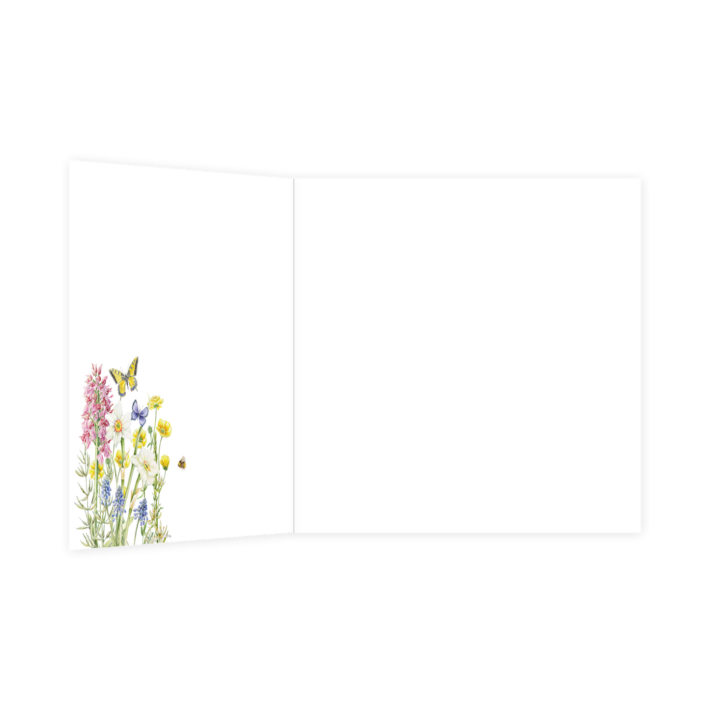 Jij bent jarig gefeliciteerd