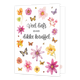 XL kaart - Veel liefs en een dikke knuffel - Formaat: Groot - Vorm: Staand - Vriendschapskaart - Op deze wenskaart zijn bloemen in diverse kleuren en vlinders te zien. In het midden staat de tekst: "Veel liefs en een dikke knuffel". - Snelwenskaart