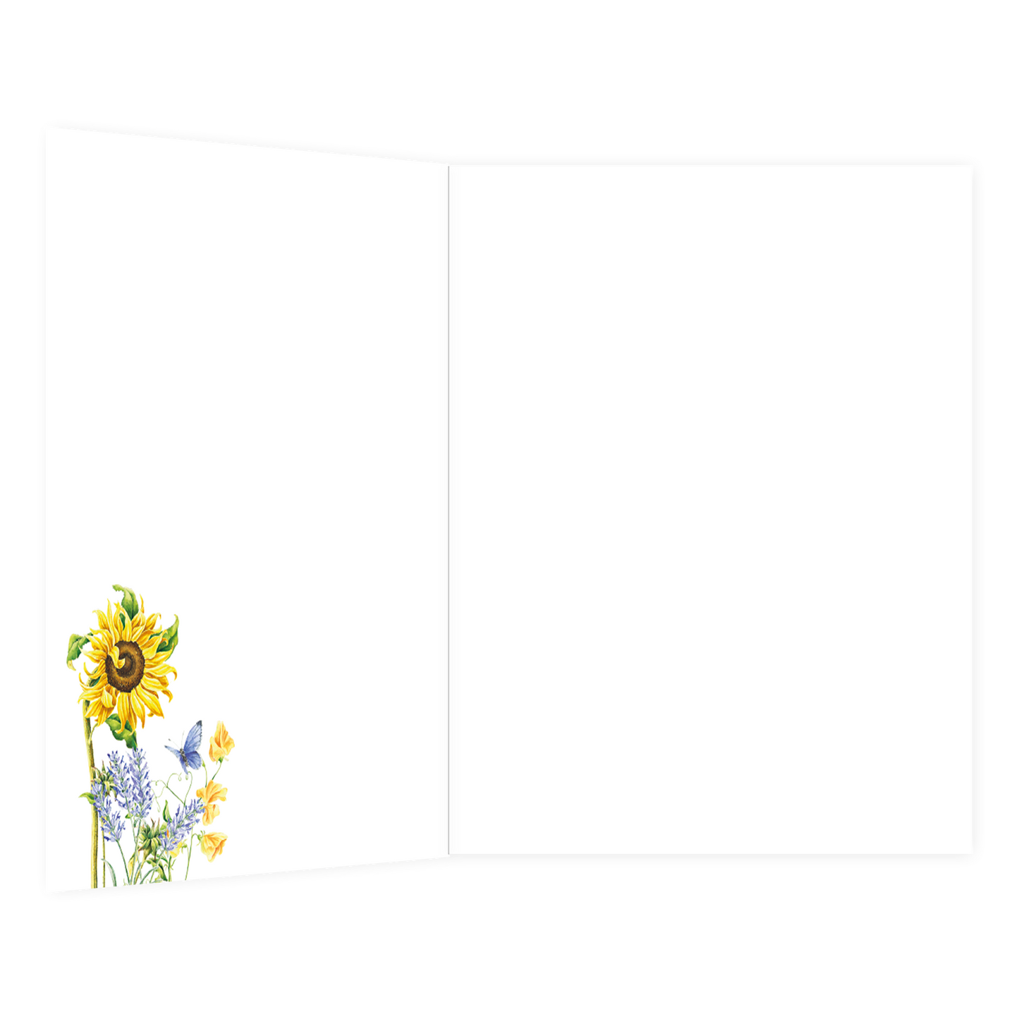 XL kaart - Hartelijk gefeliciteerd