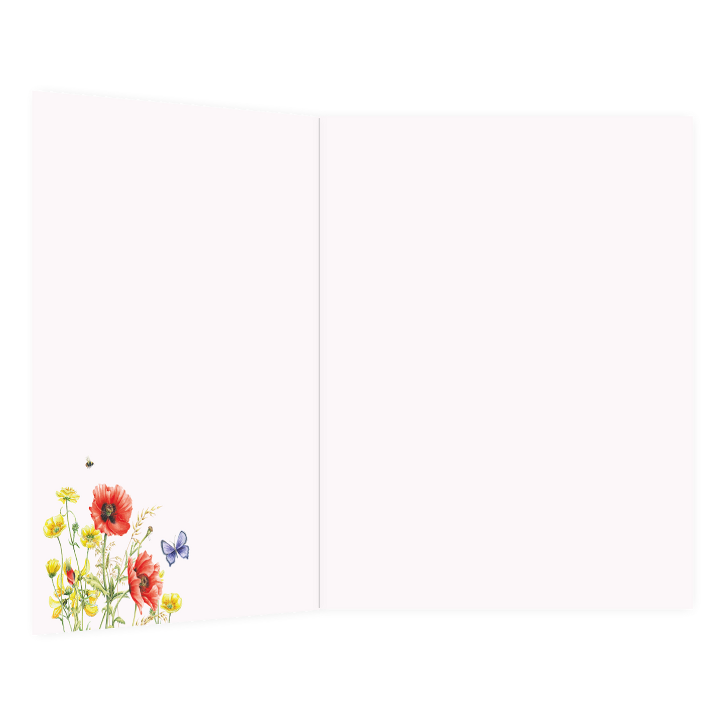 XL kaart - Gefeliciteerd