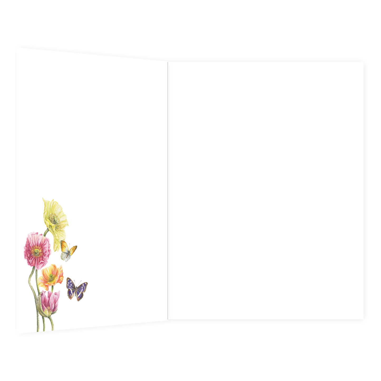 XL kaart - Hartelijk gefeliciteerd