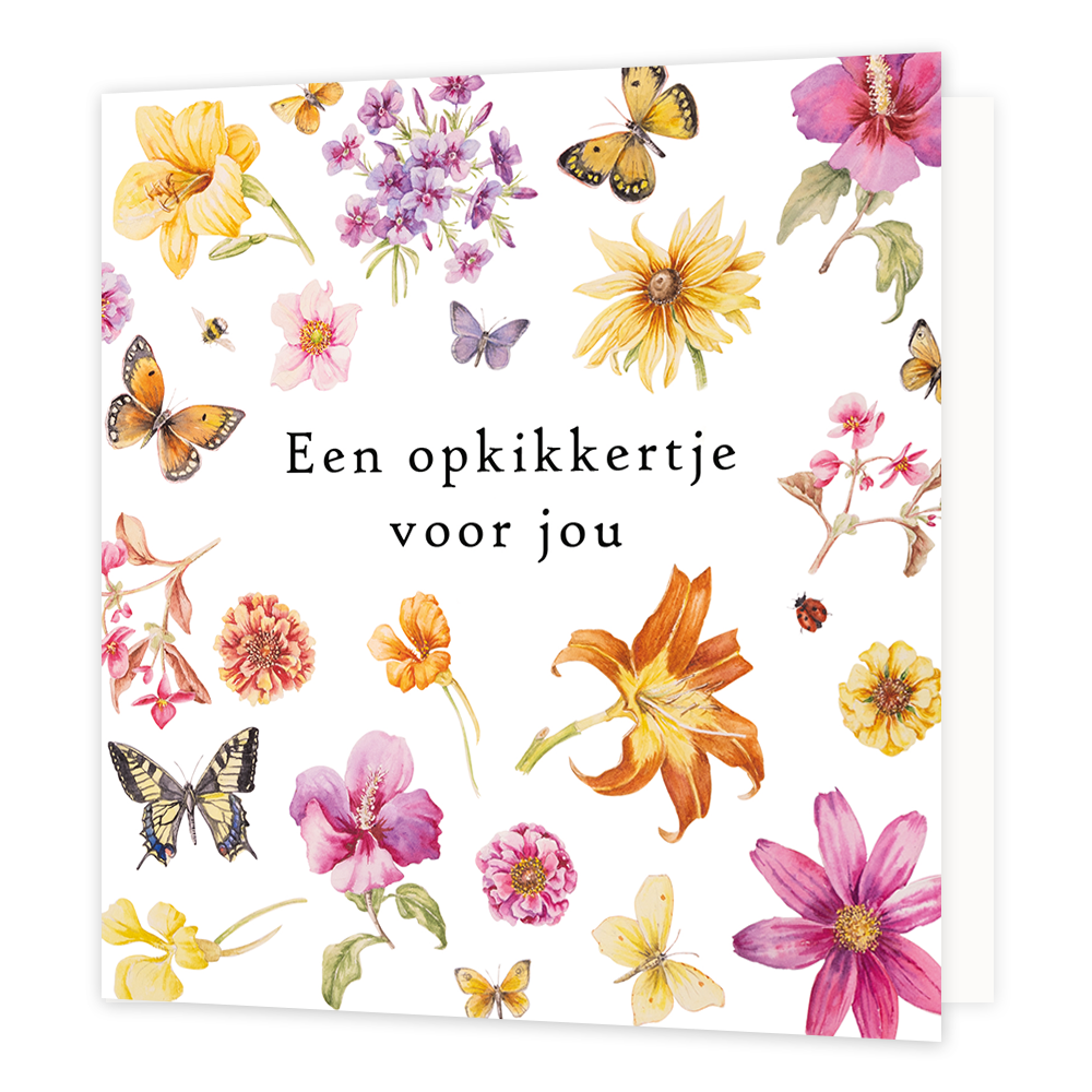 Op deze wenskaart zie je natuurgetekende bloemen en vlinders. In het midden van de kaart staat de tekst 'Een opkikkertje voor jou'.