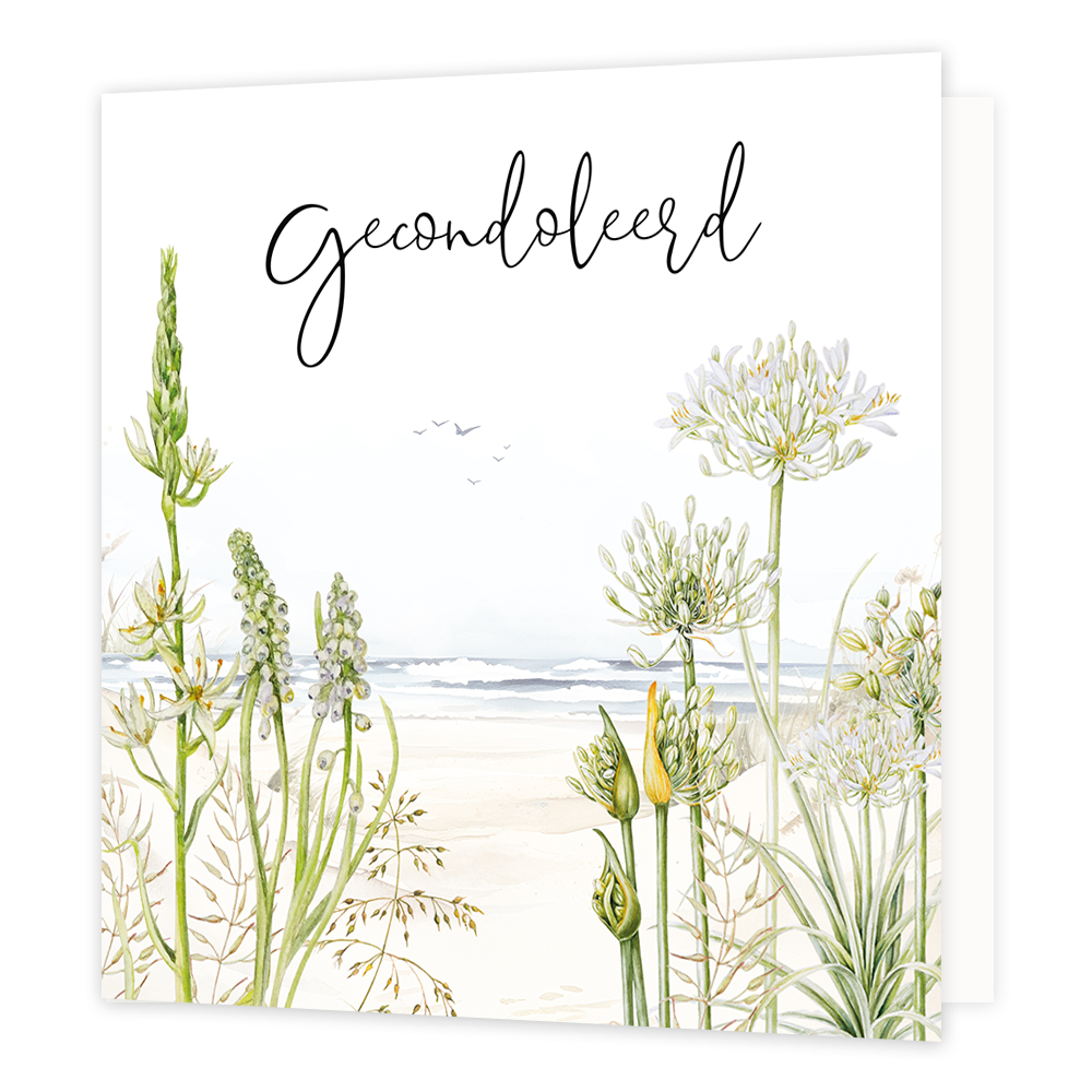 Gecondoleerd - Formaat: Normaal - Vorm: Vierkant - Condoleance kaart - Op deze wenskaart staan bloemen die uitkijken op de kust met daarboven de tekst: "Gecondoleerd". - Snelwenskaart