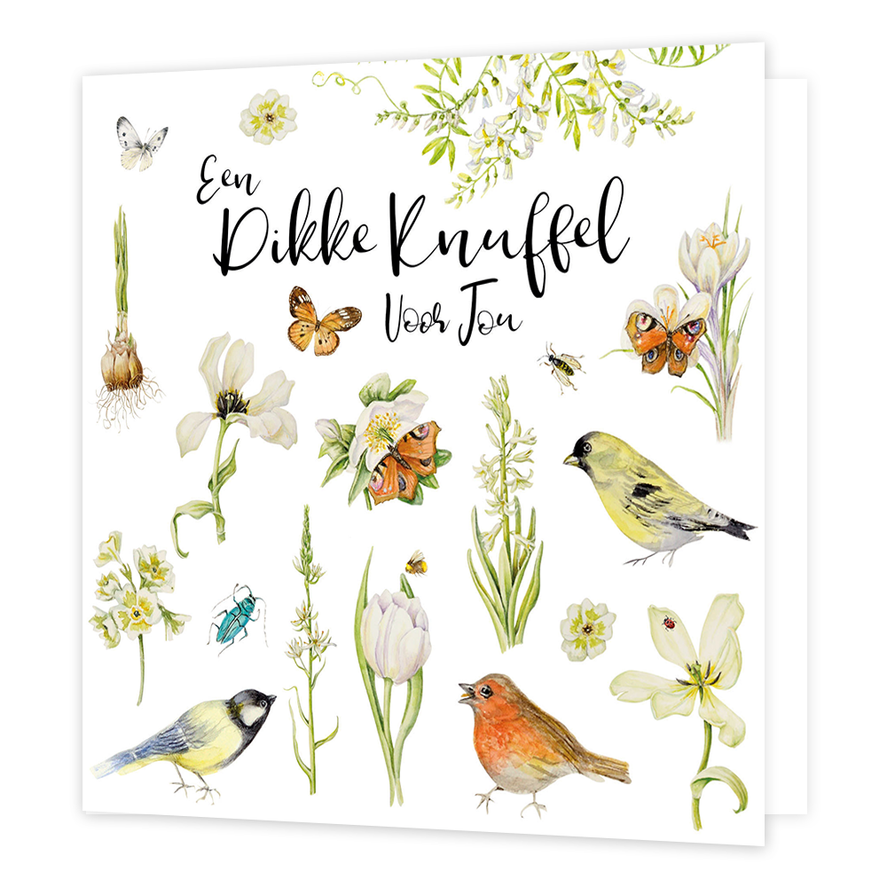 XL kaart - Een dikke knuffel voor jou - Formaat: Standaard - Vorm: Vierkant - Vriendschapskaart - Op deze wenskaart staan bloemen, vogels en vlinders met in het midden de tekst: "Een dikke knuffel voor jou". - Snelwenskaart