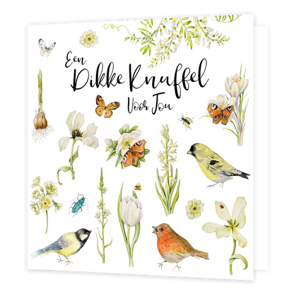 XL kaart - Een dikke knuffel voor jou - Formaat: Standaard - Vorm: Vierkant - Vriendschapskaart - Op deze wenskaart staan bloemen, vogels en vlinders met in het midden de tekst: "Een dikke knuffel voor jou". - Snelwenskaart