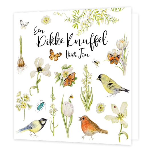 XL kaart - Een dikke knuffel voor jou - Formaat: Standaard - Vorm: Vierkant - Vriendschapskaart - Op deze wenskaart staan bloemen, vogels en vlinders met in het midden de tekst: "Een dikke knuffel voor jou". - Snelwenskaart