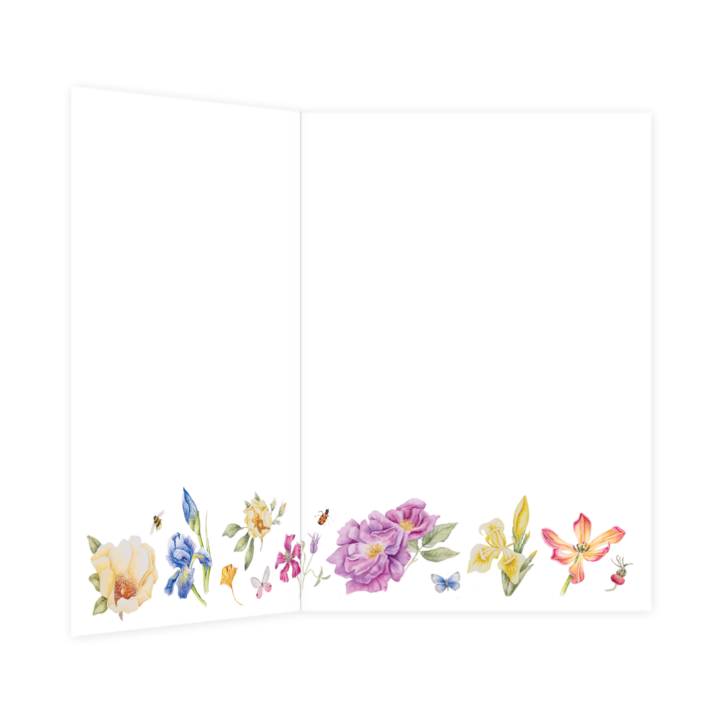 Van harte gefeliciteerd