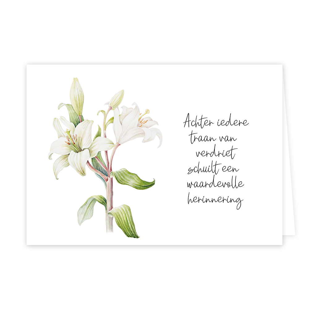 Achter iedere traan - Formaat: Standaard - Vorm: Liggend - Condoleance kaart - Op deze wenskaart staan witte bloemen met rechts daarnaast de tekst: "Achter iedere traan van verdriet schuilt een waardevolle herinnering". - Snelwenskaart