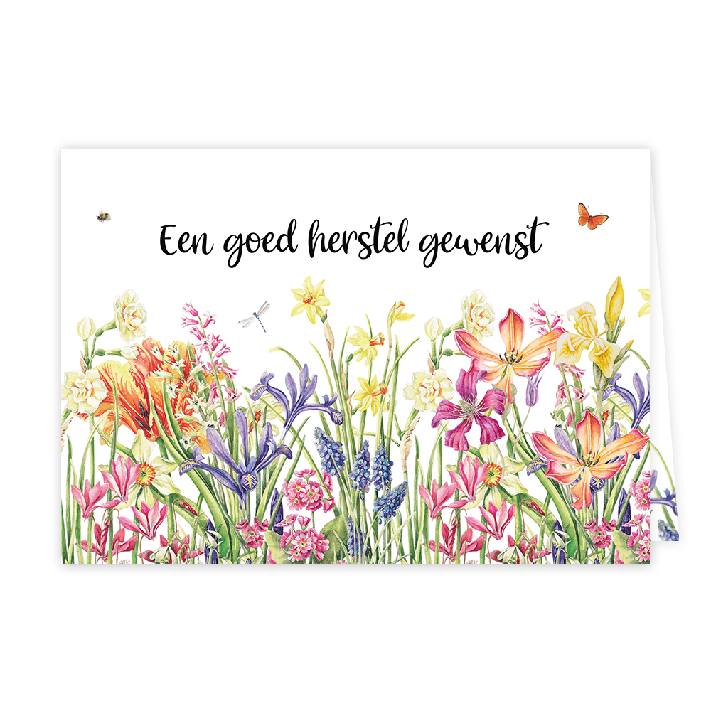 Een goed herstel gewenst - Formaat: Normaal - Vorm: Liggend - Beterschapskaart - Op deze wenskaart staat een bloemenveld met diverse bloemen in de kleuren geel, paars, roze, oranje en blauw, op een witte achtergrond. Boven de bloemen staat de tekst: "Een goed herstel gewenst". - Snelwenskaart