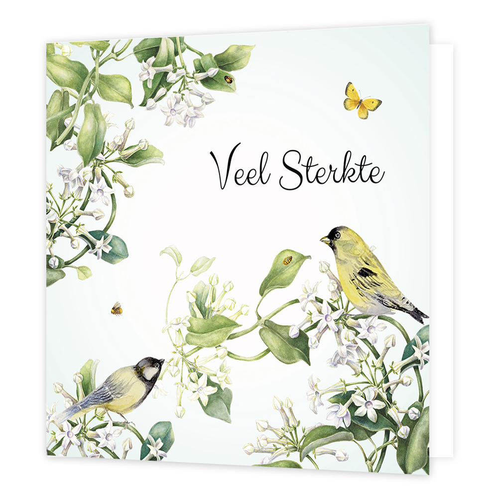 Veel sterkte - Formaat: Normaal - Vorm: Vierkant - Condoleance kaart - Op deze wenskaart staan witte bloemen met groene bladeren en twee vogels. In de illustratie staat de tekst: "Veel sterkte". - Snelwenskaart