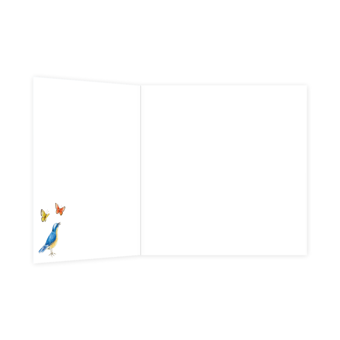 XL kaart - Gefeliciteerd