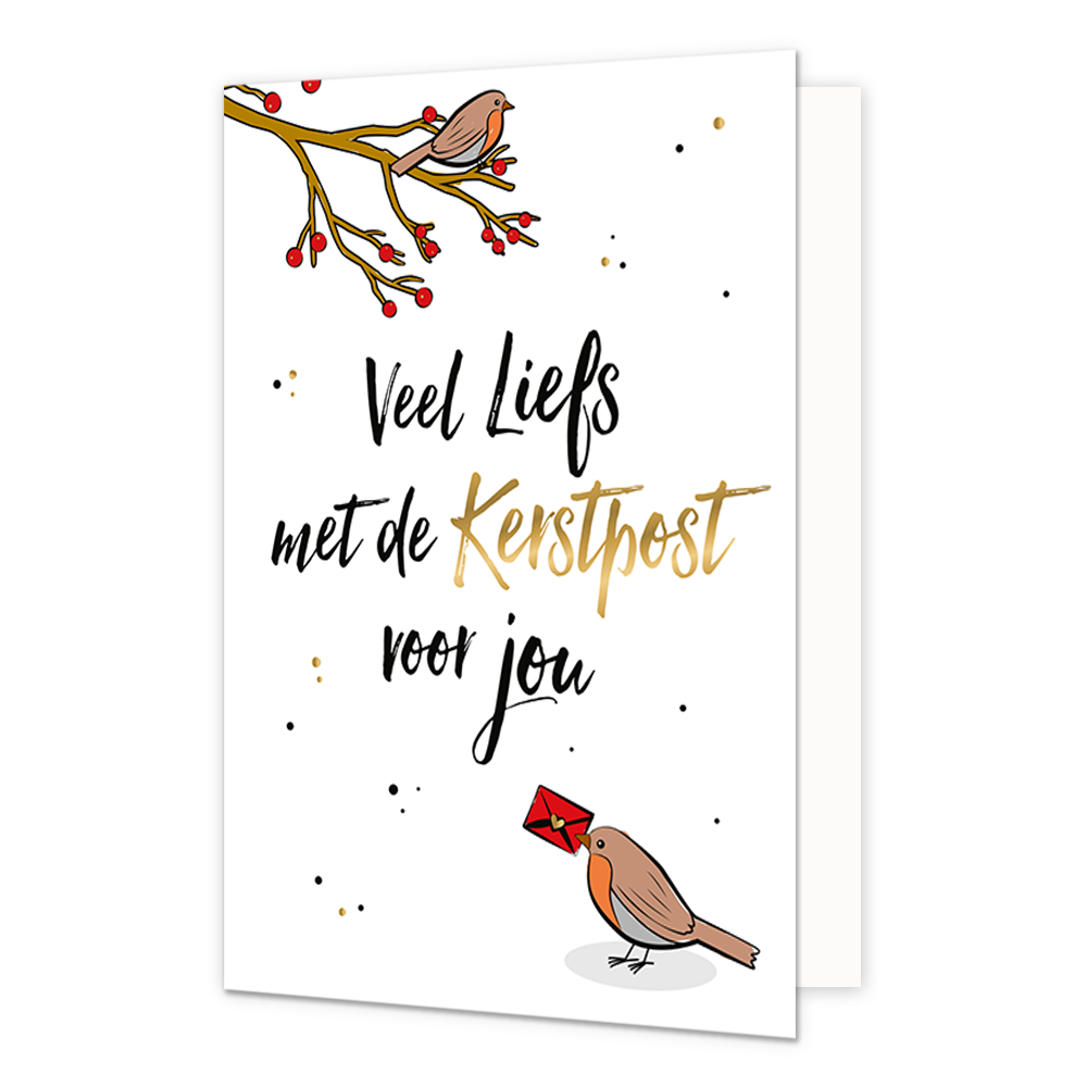 Veel liefs met de kerstpost voor jou - Formaat: Normaal - Vorm: Staand - Kerstkaart - Op deze kerstkaart staan twee vogels met de tekst: "Veel liefs met de kerstpost voor jou". - Snelwenskaart
