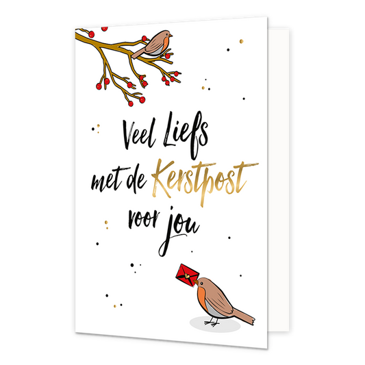 Veel liefs met de kerstpost voor jou - Formaat: Normaal - Vorm: Staand - Kerstkaart - Op deze kerstkaart staan twee vogels met de tekst: "Veel liefs met de kerstpost voor jou". - Snelwenskaart