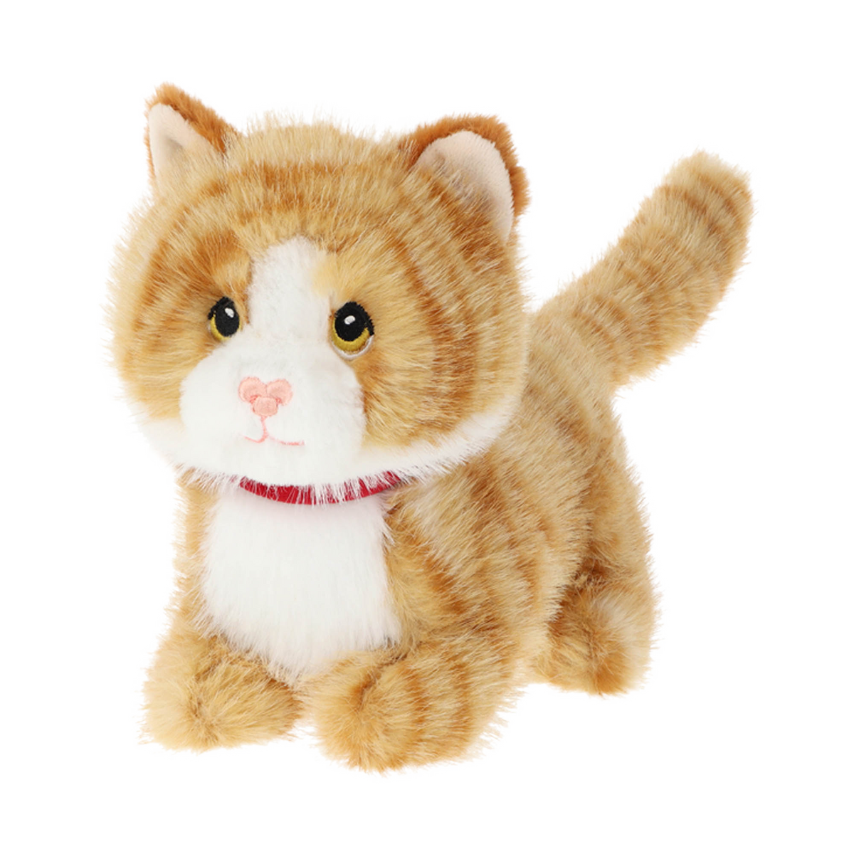 Knuffel kat