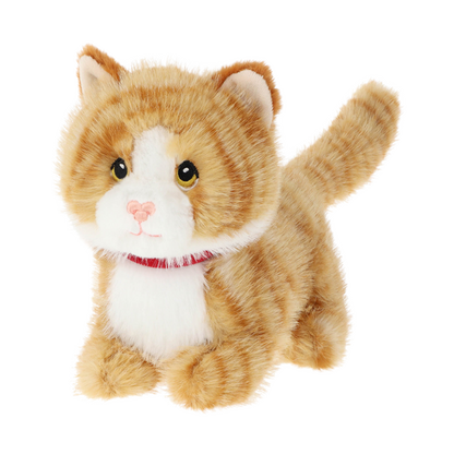 Knuffel kat