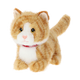 Knuffel kat