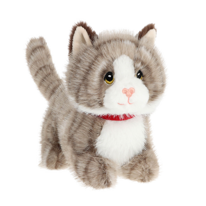 Knuffel kat