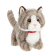 Knuffel kat