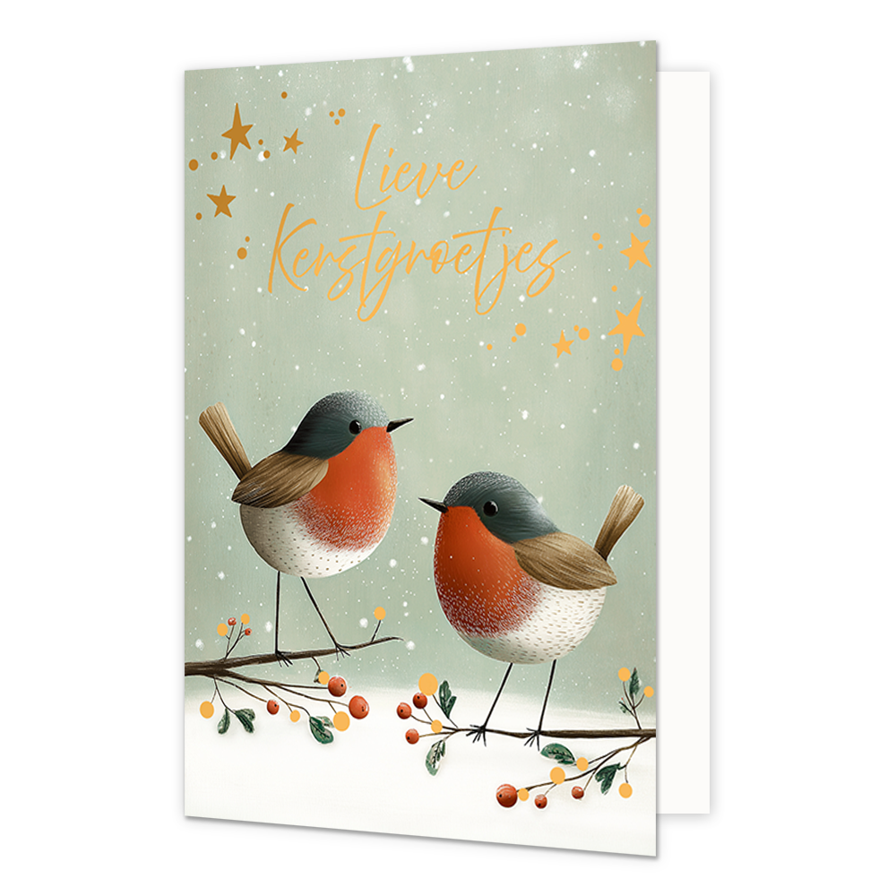 Lieve kerstgroetjes - Formaat: Standaard - Vorm: Staand - Kerstkaart - Op deze wenskaart staan twee roodborstjes afgebeeld op takken met rode besjes tegen een lichtgroene, met sneeuwsterren en stippen bedekte achtergrond. De vogeltjes hebben een grijze kop, bruine vleugels, witte buikjes en een opvallende oranjerode borst. De achtergrond is verder versierd met diverse oranje sterren en subtiele witte sneeuwvlokken. Bovenaan in het midden staat de gele, sierlijke handgeschreven tekst "Lieve Kerstgroetjes". 