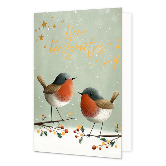 Lieve kerstgroetjes - Formaat: Standaard - Vorm: Staand - Kerstkaart - Op deze wenskaart staan twee roodborstjes afgebeeld op takken met rode besjes tegen een lichtgroene, met sneeuwsterren en stippen bedekte achtergrond. De vogeltjes hebben een grijze kop, bruine vleugels, witte buikjes en een opvallende oranjerode borst. De achtergrond is verder versierd met diverse oranje sterren en subtiele witte sneeuwvlokken. Bovenaan in het midden staat de gele, sierlijke handgeschreven tekst "Lieve Kerstgroetjes". 