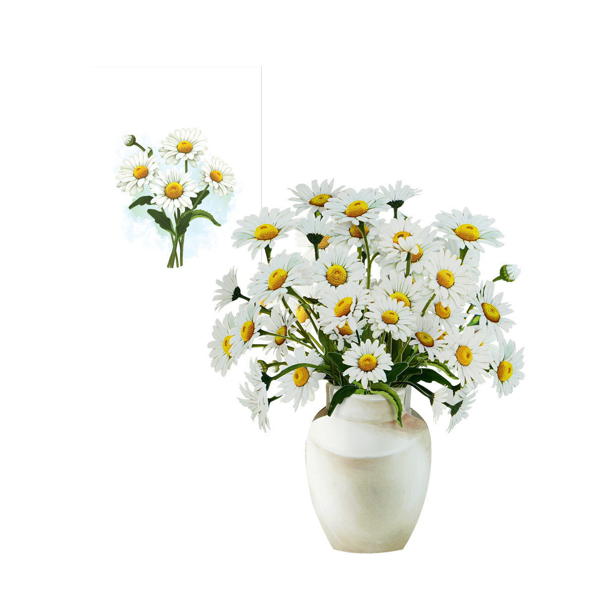 Witte Margrietjes