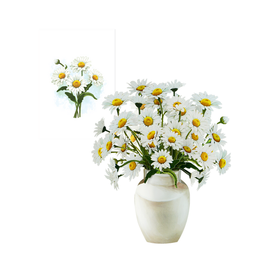 Witte Margrietjes