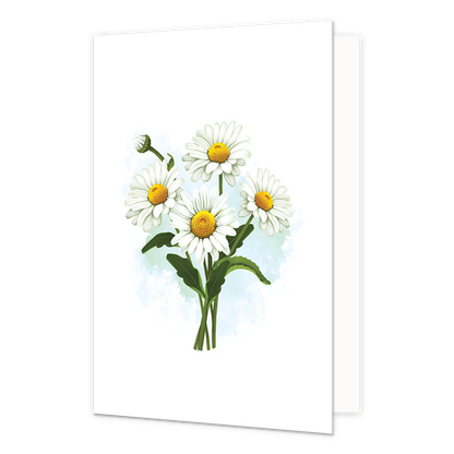 Witte Margrietjes