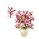 Roze Magnolia