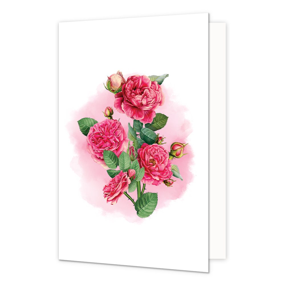 Roze Rozen