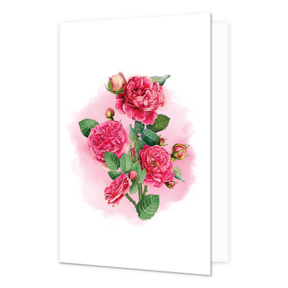 Roze Rozen