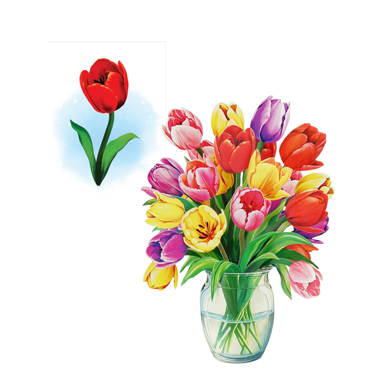 Kleurrijke Tulpen