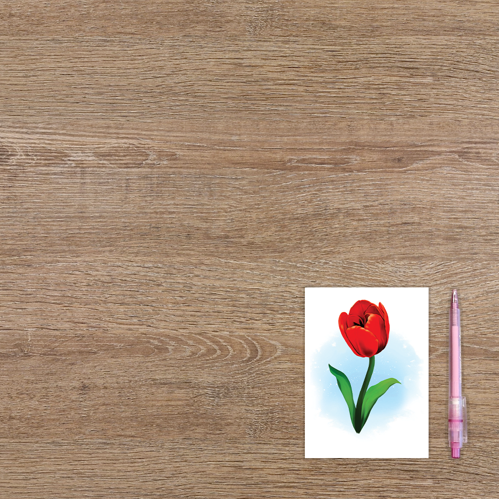Kleurrijke Tulpen