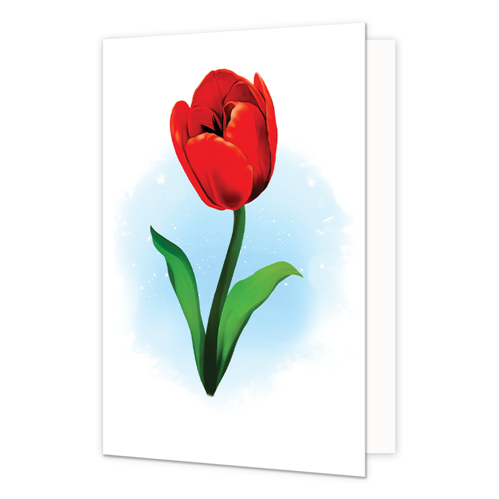 Kleurrijke Tulpen