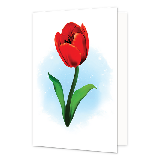 Kleurrijke Tulpen