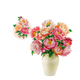 Kleurrijke Pioenen