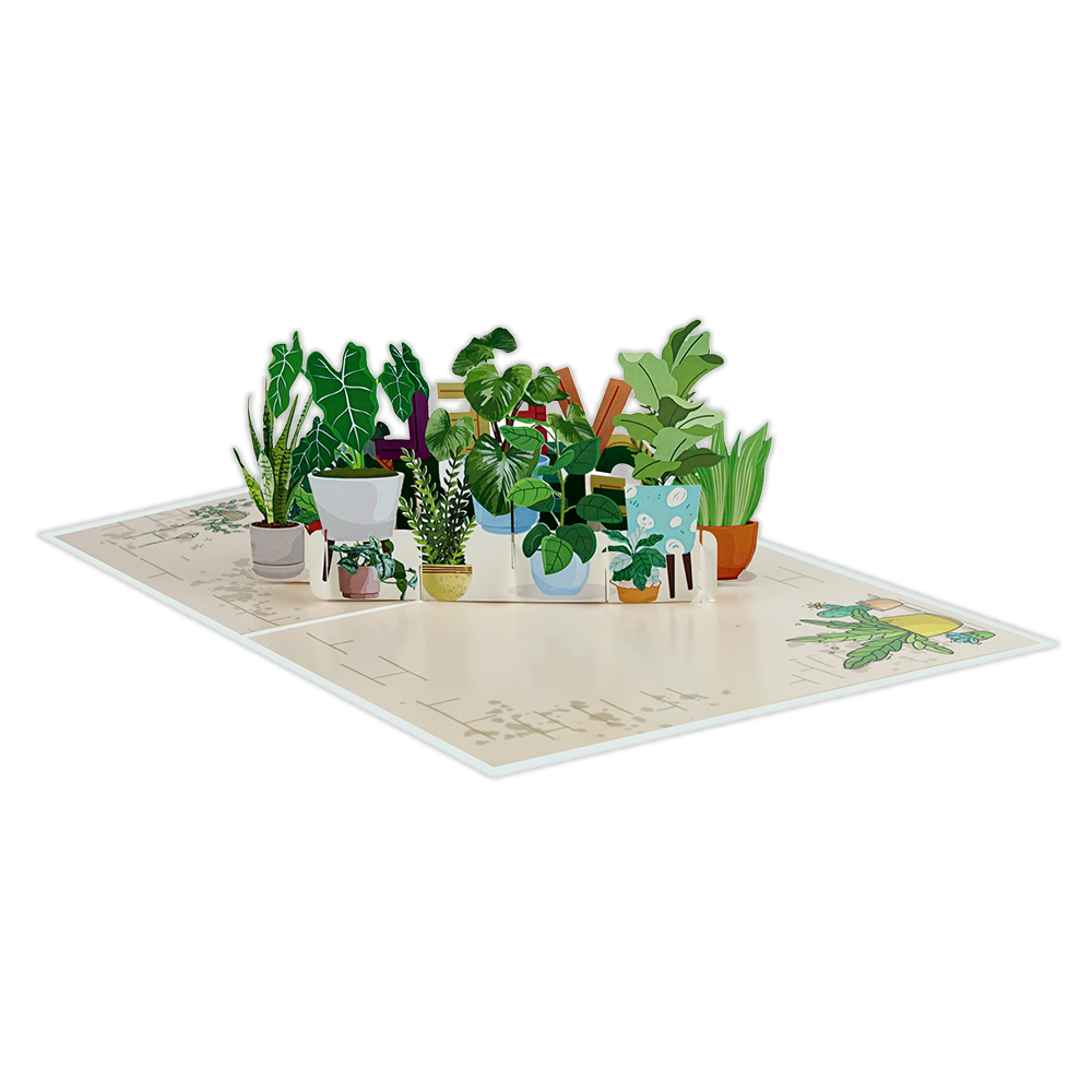 Nieuwe Woning