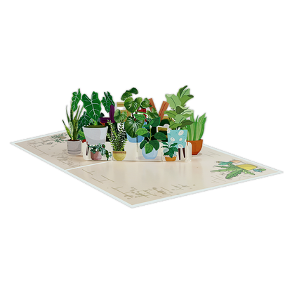Nieuwe Woning