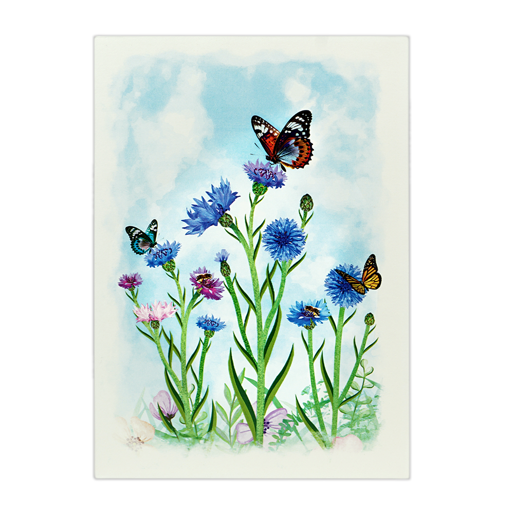 Veld Bloemen en Vlinders